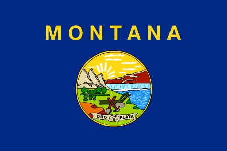 montana flag graphic